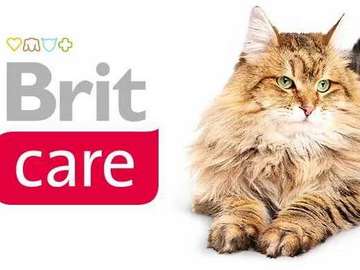 bri care cat