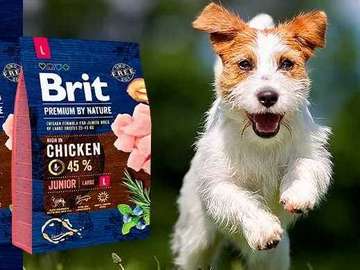 brit premium dog