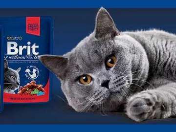 brit premium cat