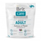 Сухий гіпоалергенний корм для собак вагою до 25 кг Brit Care (Брит Кеа) GF Adult Salmon & Potato 1 кг з лососем і картоплею