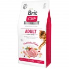 Сухий гіпоалергенний корм для активних і вуличних котів Brit Care Cat (Брит Кеа) GF Adult Activity Support, 7 кг з м'ясом курки та індички