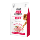  Сухий гіпоалергенний корм для активних і вуличних котів Brit Care Cat (Брит Кеа) GF Adult Activity Support, 2 кг з м'ясом курки та індички