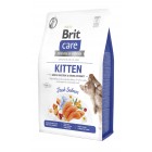 Сухой корм для котят Brit Care Cat GF Kitten Gentle Digestion Strong Immunity с лососем, 2 кг