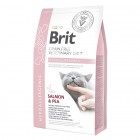 Сухий корм для котів з алергією Brit GF Veterinary Diets (Брит ветеринарна дієта) Cat Hypoallergenic 2 кг