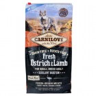 Сухий корм холістік для собак дрібних порід Carnilove Fresh (Карнілав Фреш) Ostrich & Lamb for Small Breed Dogs 6 кг зі свіжим м'ясом страуса і ягняти