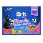 Влажный корм для котов Brit Premium Cat набор паучей семейная тарелка ассорти 4 вкуса  100 г х 12 шт